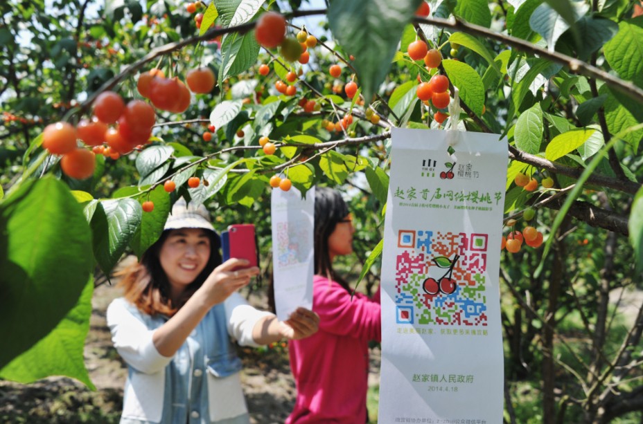 ɨ���ά�룬��ȡ�����Լ��׽조����ӣ�ҽڡ�ȫ����