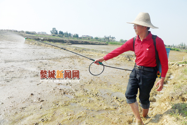 浙江琅琊镇:种粮大户盛威斌 三十余载种粮情