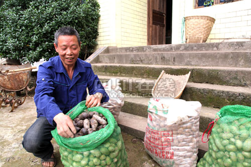 ĴݣƼ԰ ͳũࡱֳζ2