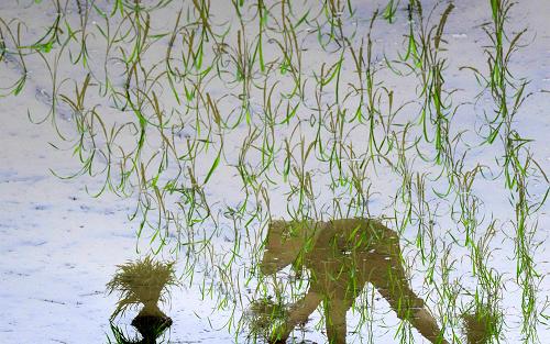 419գóسǹӴũ360ȷת