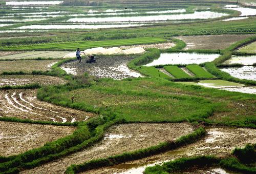 420գڹˮغľ壬һáţ׼絾