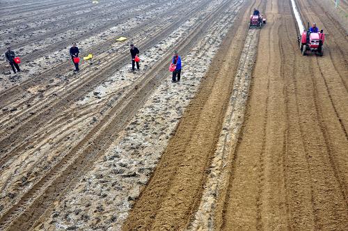 420գɽʡĳƽصũֹ̬ũڲ紺