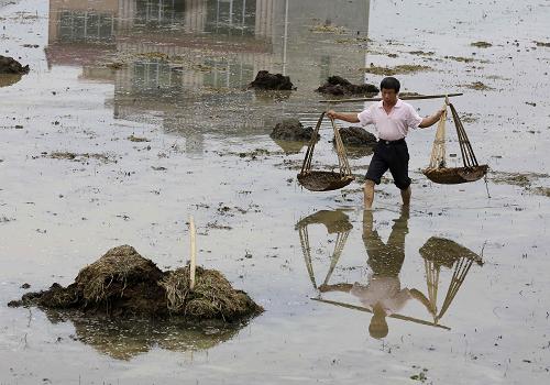 419գڹڰظʯȪͷ壬һũũҷʣ׼ֲ絾