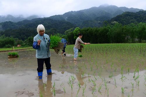 420գڹƽƽʥ壬ũֲ絾