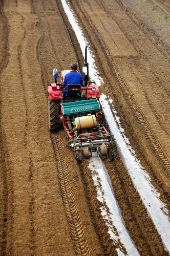 420գɽʡĳƽصũֹ̬ũڲ紺