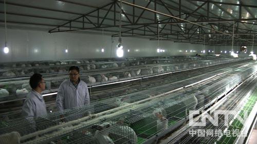 致富经:创业一年妻子突然返乡的秘密2