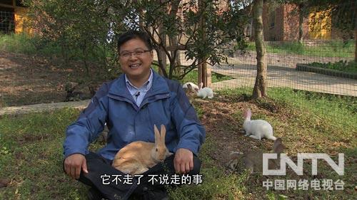 致富经:创业一年妻子突然返乡的秘密3