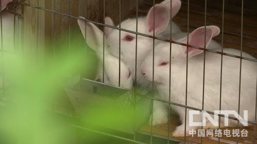 致富经:创业一年妻子突然返乡的秘密