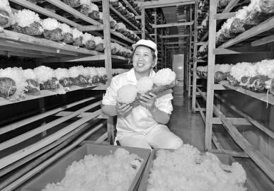 �Ĵ����������ӳ���ҵ�� ����Ǯ���ӡ�