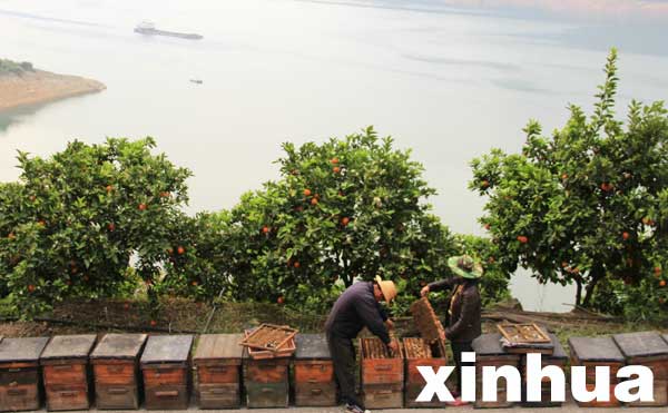 429գϿй̲¼ں죨־ڸ԰۷