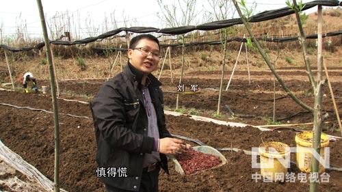 致富经:硕士刘军毕业回江西养蚯蚓 20亩地年产100万