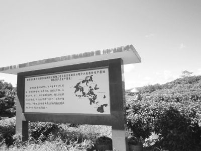 ��һ�ƶ�Ʒ��ץ��ɫ����Ʒ��ũҵ