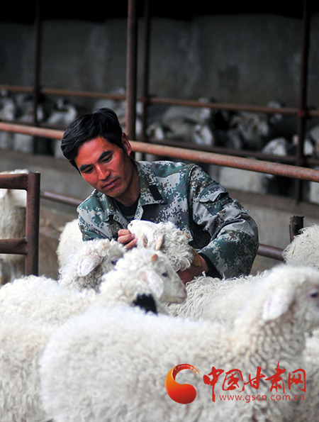 从城市“白领”到农村“羊倌” 甘肃农民赵生军的小康梦