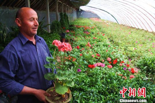 图为亚森江和他的满是花卉的大棚