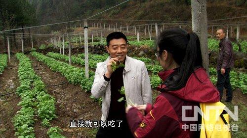 ËÄ´¨¹ãÔª£ºÃº¿óÖ÷¶¢ÉÏÁËÂÌÉ«»Æ½ð£¨Ö¸»¾£©2