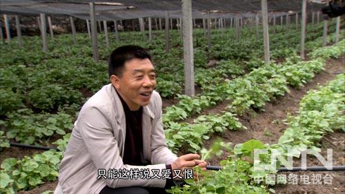 ËÄ´¨¹ãÔª£ºÃº¿óÖ÷¶¢ÉÏÁËÂÌÉ«»Æ½ð£¨Ö¸»¾£©3