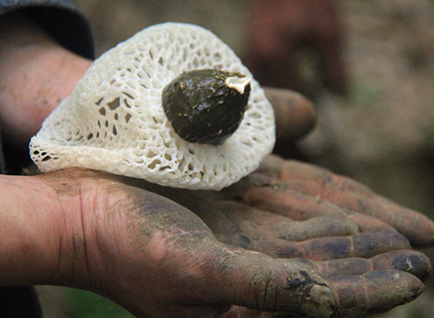 �й������Ĵ���������������ݥ ũ��������