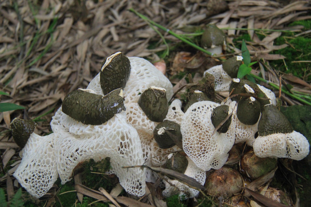 �й������Ĵ���������������ݥ ũ��������3