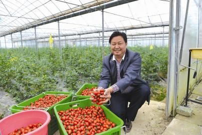 �Ĵ������أ�Ѧ��������׵����ٽ�