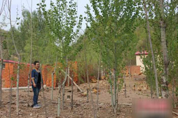 河北山区:女汉逃离大都市 携夫深山养柴鸡