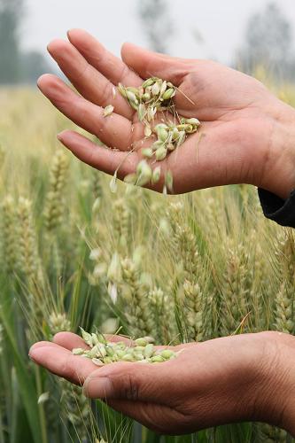 520գʡش纫ԭũСڲ鿴̶ȡ