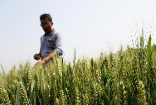 520գɽʡͲиظֲ߳Աڲ鿴Сơ