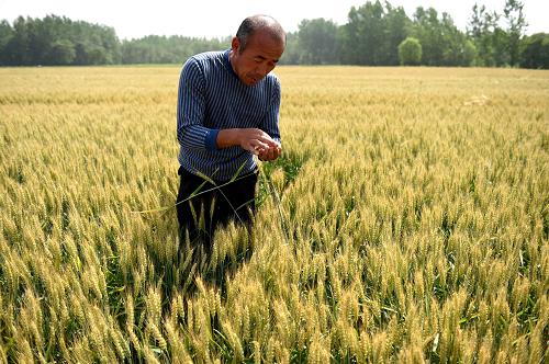 520գʡ۳կũ鿴Сơ