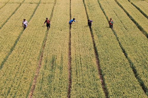 520գʡػׯҦׯũβݡ