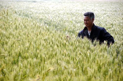 520գɽʡ۰ͷ֣͢鿴Сơ