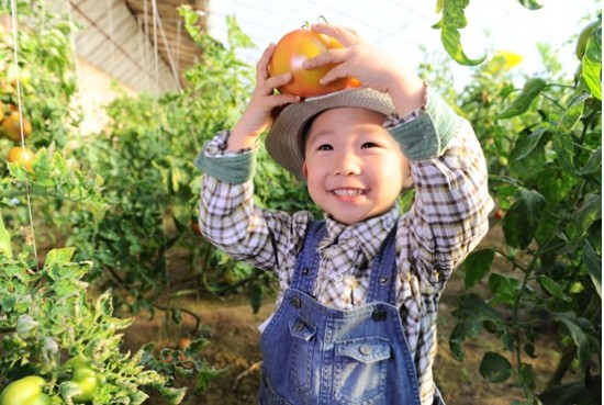 新农人做新农业:IT女博士的农业情结2