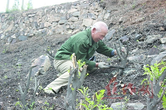 ޽ҩǿɽ äˡ޹Ҫ̻ɽ䱦ɽ