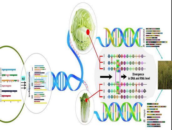 йũԺνʾܿ޷౶鲻Գƽ