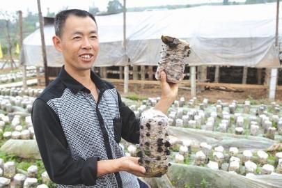 �Ĵ����أ����Ժ�ľ���������ֳɹ�