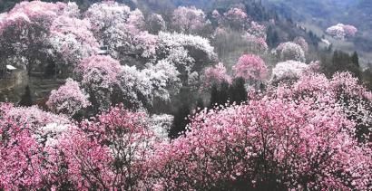 �������Ļ���ѡũҵ�Ļ��Ų���¼