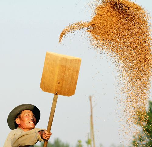 6��7�գ�ɽ��ʡ������۰����۰�ǽֵ�С�����ũ������ɹ�ջ��С��