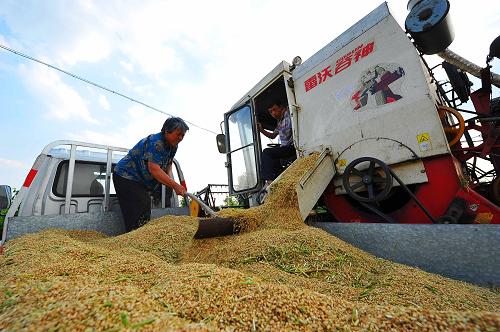 6��7�գ�ɽ��ʡ�������ֺ�����������ũ����װжС��