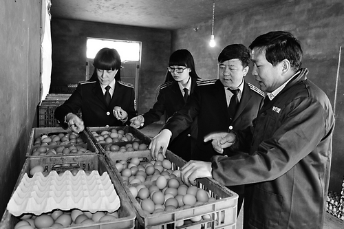 “啄”开致富门 山西平定县里牌岭村大力发展养鸡业纪实