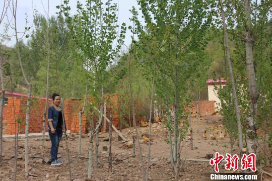 女大学生逃离都市深山养鸡 希望带领村民致富