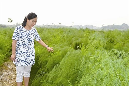 2000Ķл« 꾻ɴ1000