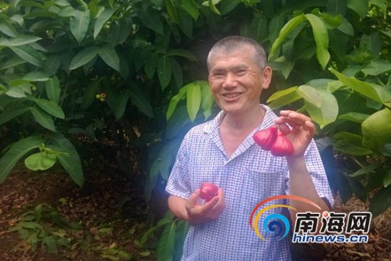 台农老张爱上海南环境 种绿色瓜果为养好家人身体