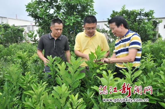 㶫տһƬٺһƬ ջɽɽ