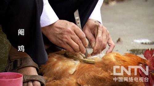 广西韦龙芬:打破偏见 赚钱有道(致富经)3