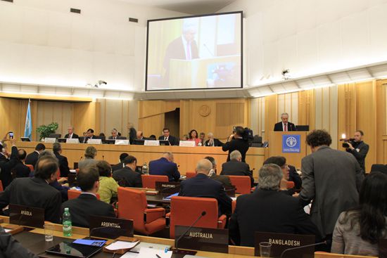 农业部副部长陈晓华出席联合国粮农组织“千年发展目标”特别活动