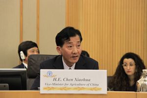 农业部副部长陈晓华出席联合国粮农组织“千年发展目标”特别活动3