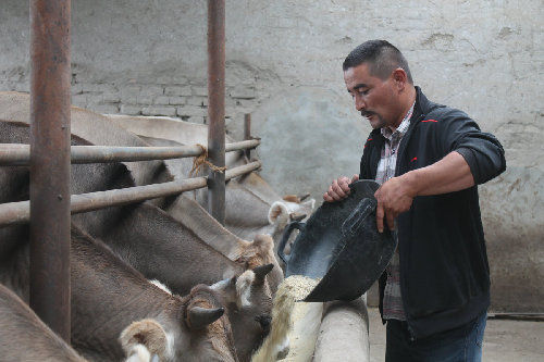 新疆兵团四师七十八团青年居来提:我的未来不是梦