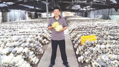 四川金堂县:踏实进取 搞农业照样能致富