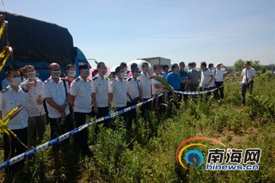 海南查获4批偷运入岛染疫活羊278只羊被公开销毁3