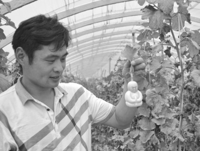 ���ս���һũ������ֲ��ƷԶ��ɽ��