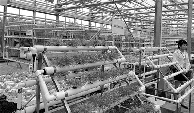 ũҵ¼ҵʾִũҵģʽ