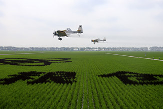 ȫ������������ѵ���ں��������� 300����������ص�����س��μ���ѵ7